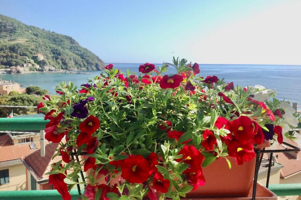 Splendido Appartamento Vista Mare レヴァント エクステリア 写真